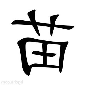 苗字意思