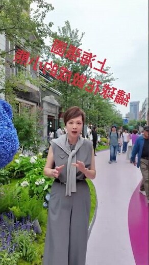 繡球花风水