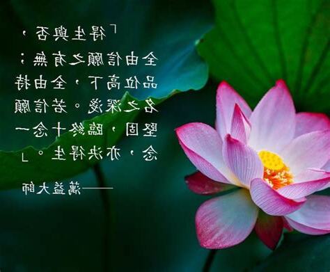 往生者稱呼你