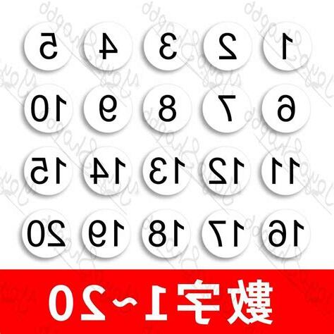 1-49數字