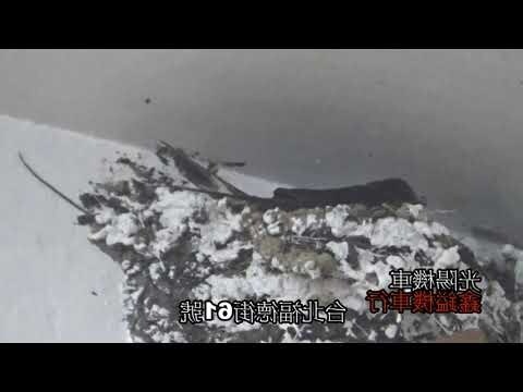 如何不讓燕子築巢