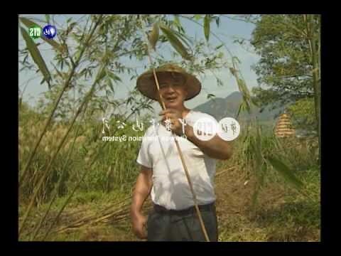 住在墓地附近
