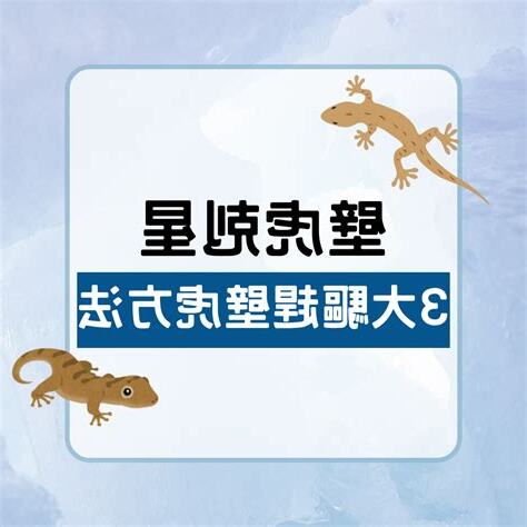壁虎入屋吉凶