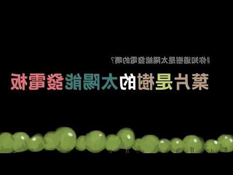 葉子有香味的樹