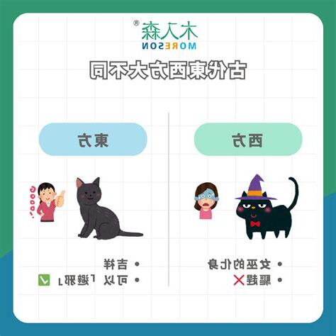 黑貓為何不能養