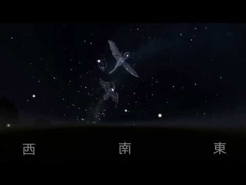 7月18星座