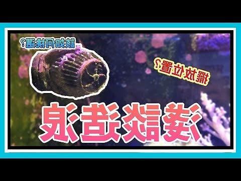 造浪機擺放位置