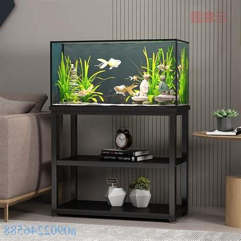 魚缸對門