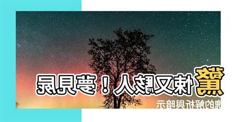 夢見屍塊