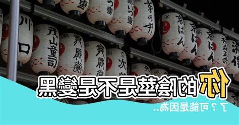 陰莖黑