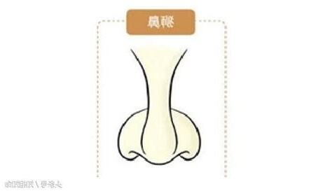 獅子鼻面相