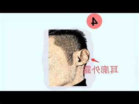 耳廓意思
