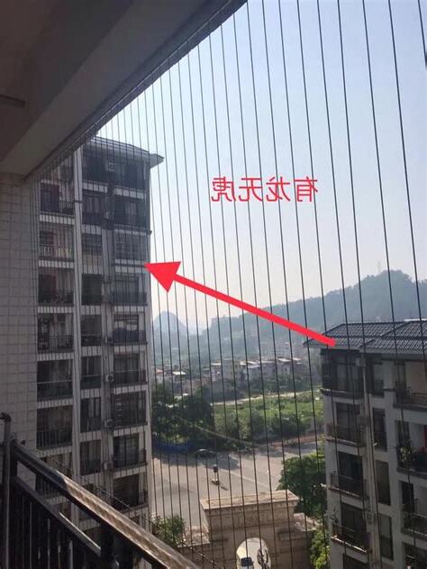 房子虎邊