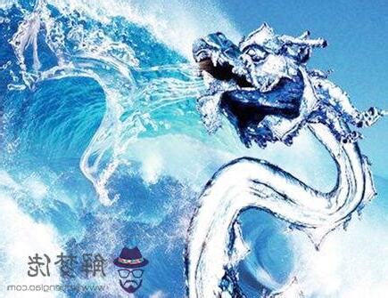 水龍年