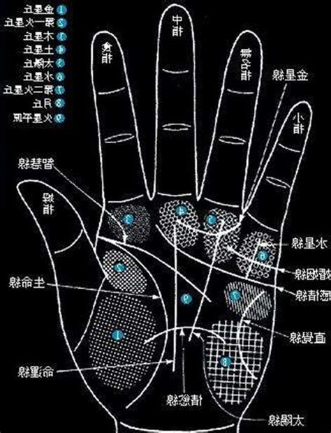 手掌痣的位置