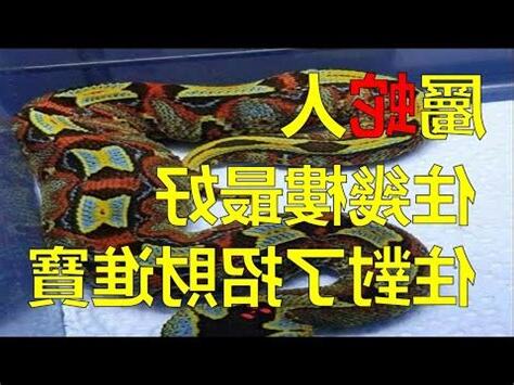 屬蛇適合的樓層