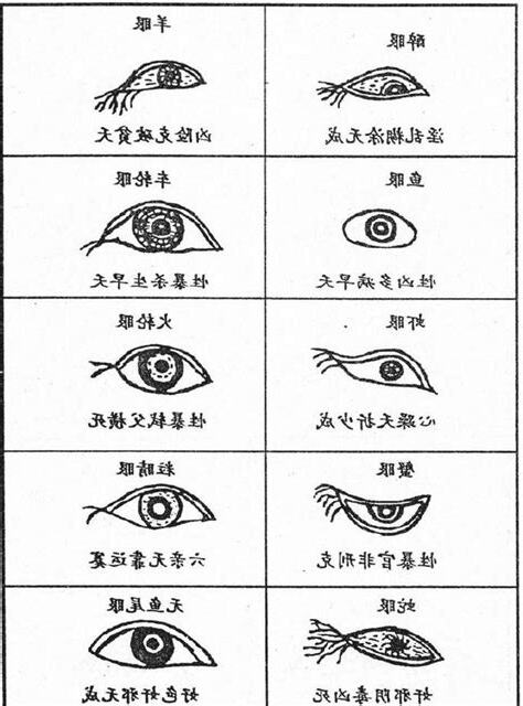 眼相學