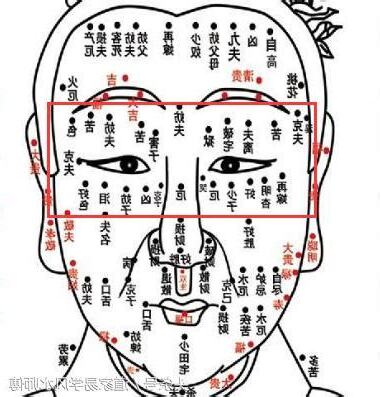 子女宮有痣