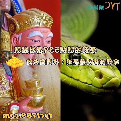 看見蛇幾號