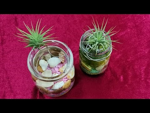 空氣草風水