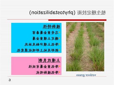 植物吸收重金屬