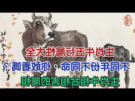 牛的五行