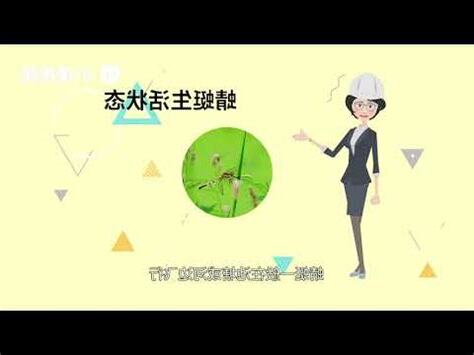 蜻蜓點水原因