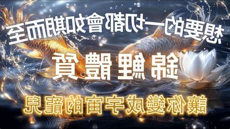 錦鯉體質意思