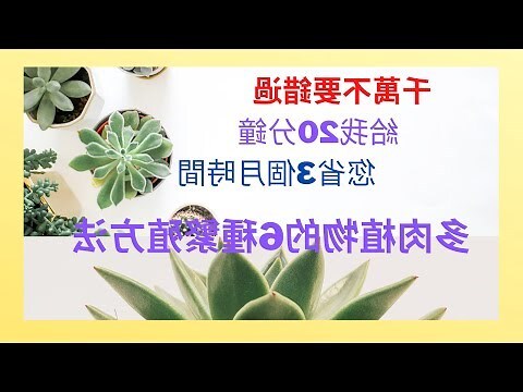 多葉植物