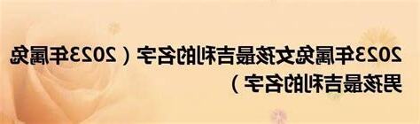 名字意思查询