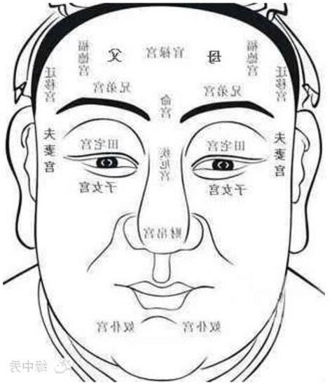 面相十二宮