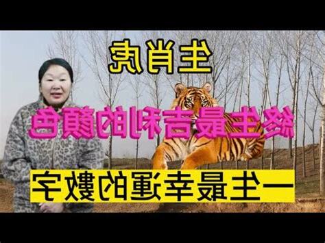 甲寅虎幸運色
