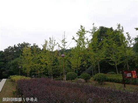 空氣好的地方