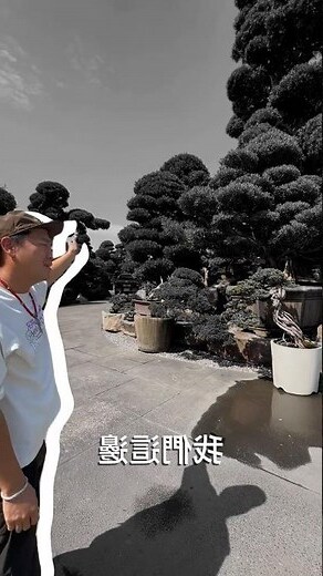 景觀風水