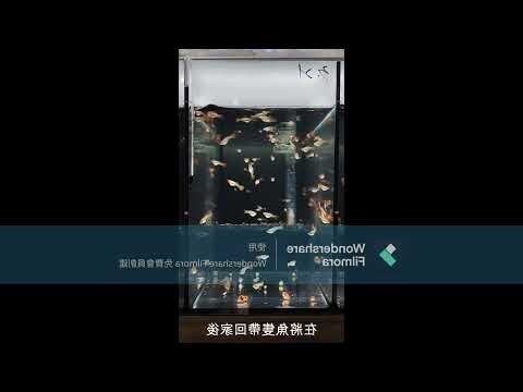 丹頂