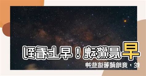 早上看到蛇