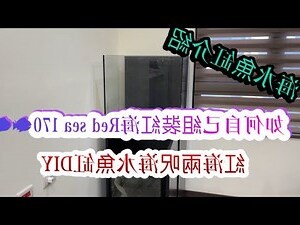 兩呎缸中型魚