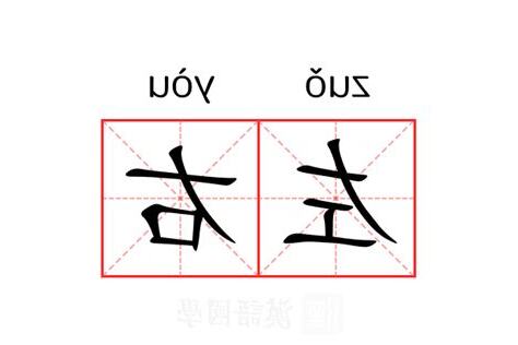 左右位意思