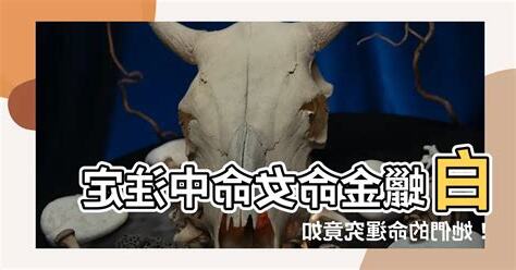 白蠟金命女