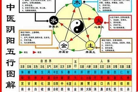 屬鼠五行