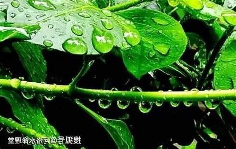 癸水是什麼