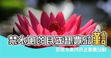 農曆五月禁忌