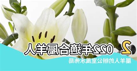 屬羊適合方位