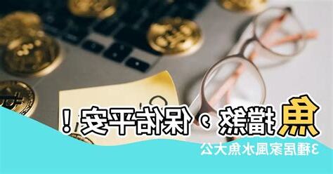 魚擋煞