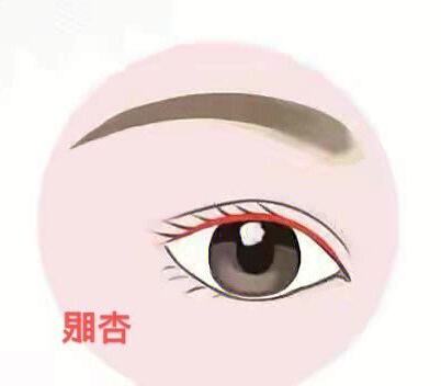 鹿眼面相