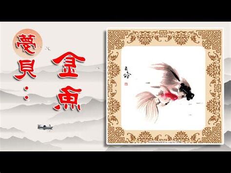 夢到死掉的魚
