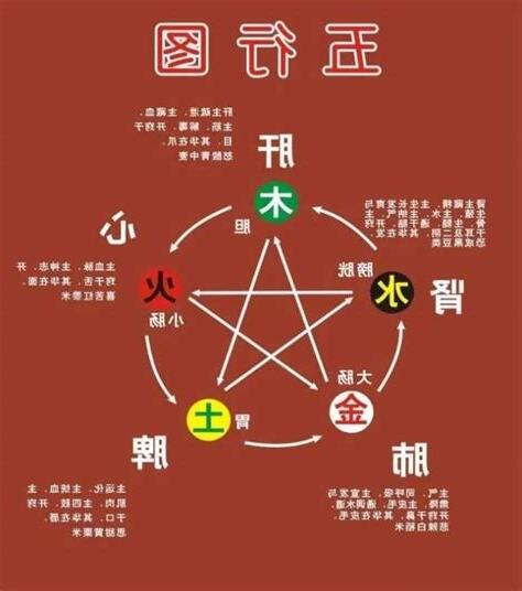 心肝脾肺腎五行