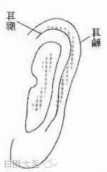 輪飛廓反耳相