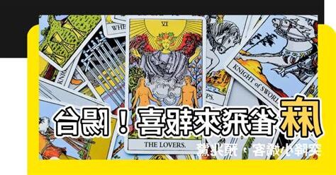 麻雀飛到陽台