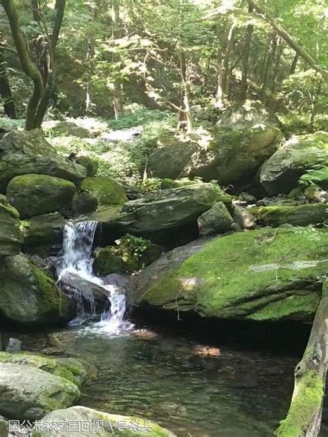 泉眼無聲惜細流